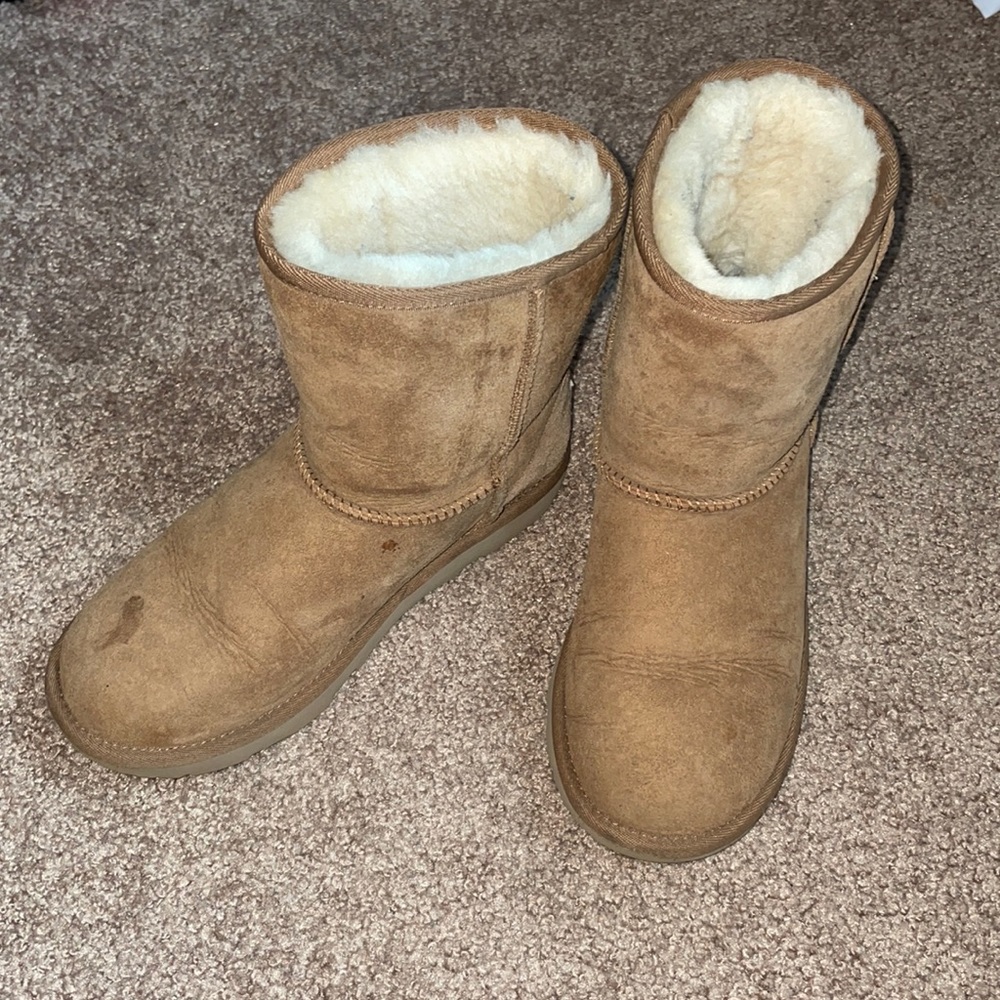 Chestnut Ugg Boots